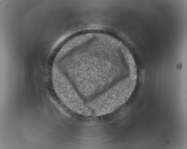 X0000112171208200909041142