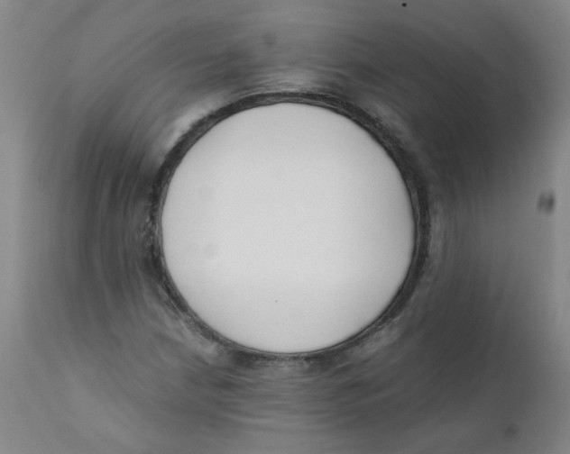 X0000112171210200909041142