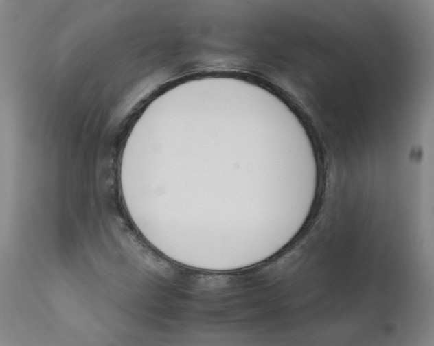 X0000112171211200909041142