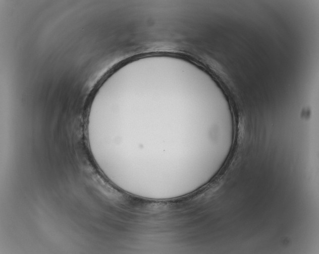 X0000112171212200909041142