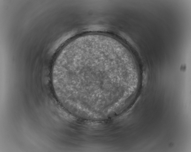 X0000112171213200909041142