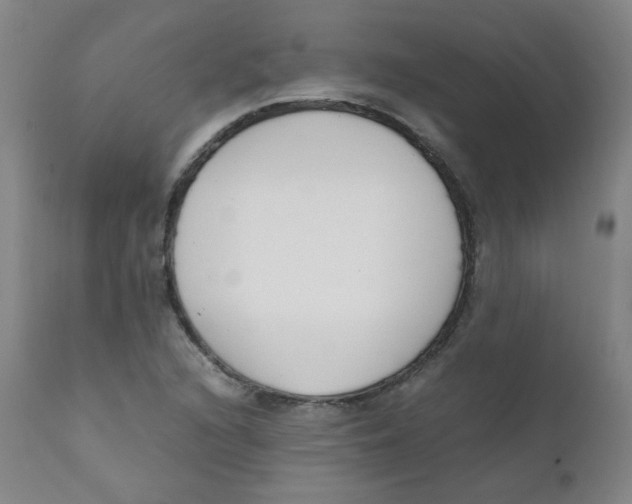 X0000112171216200909041142