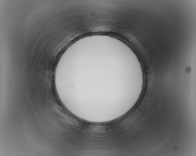 X0000112171217200909041142