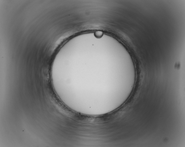 X0000112171218200909041142