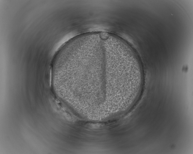 X0000112171219200909041142