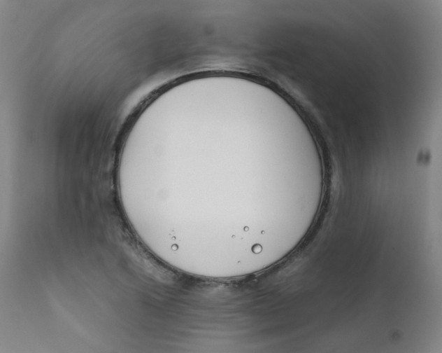 X0000112171222200909041142