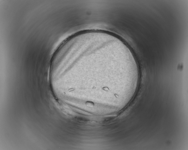 X0000112171224200909041143