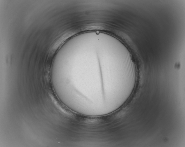 X0000112171225200909041143