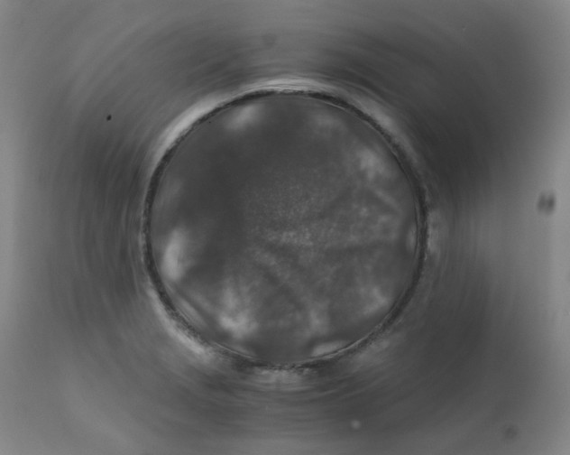 X0000112171229200909041143