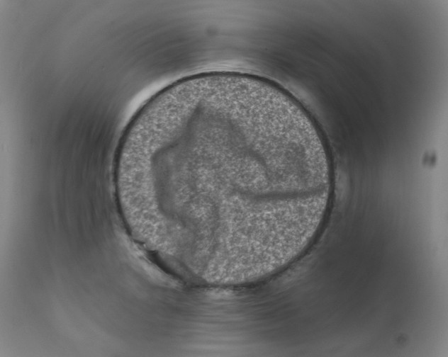 X0000112171230200909041143