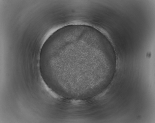 X0000112171231200909041143