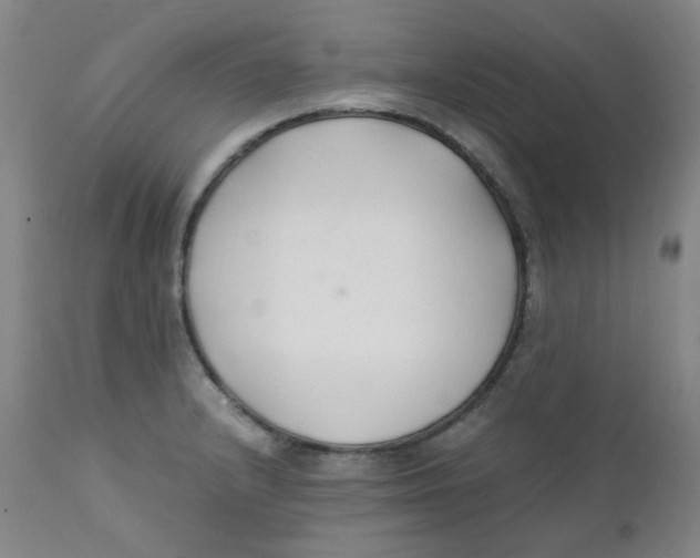 X0000112171232200909041143