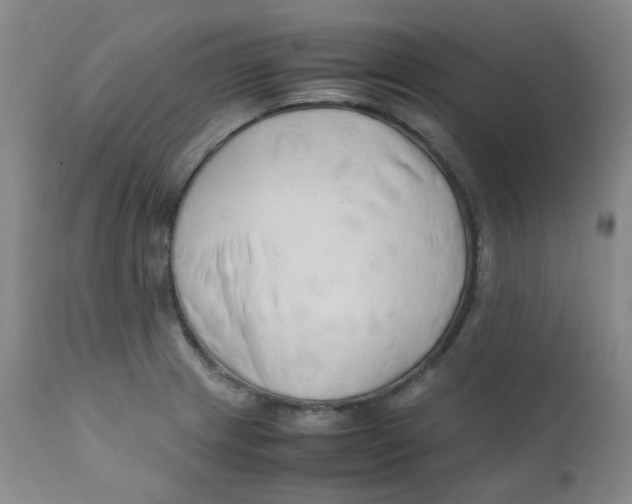 X0000112171233200909041143