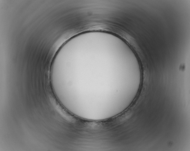 X0000112171234200909041143