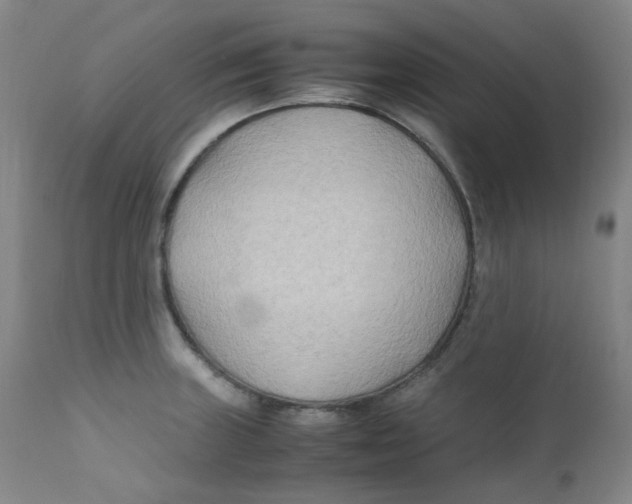 X0000112171235200909041143