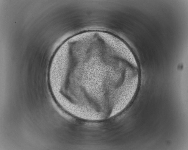 X0000112171237200909041143