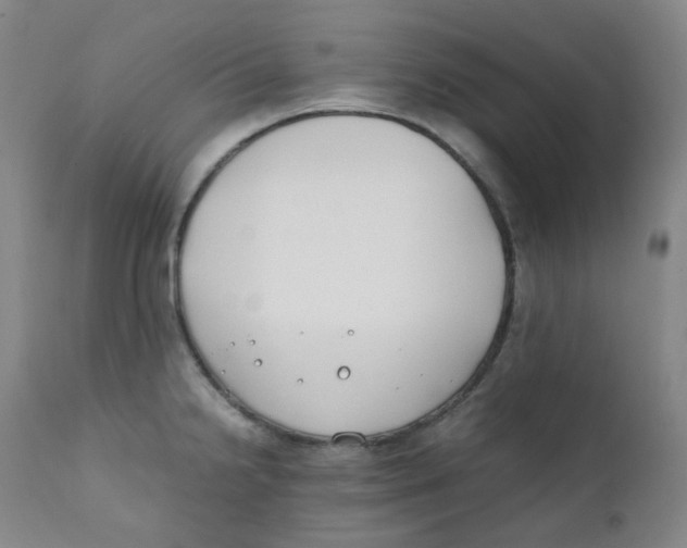 X0000112171238200909041143