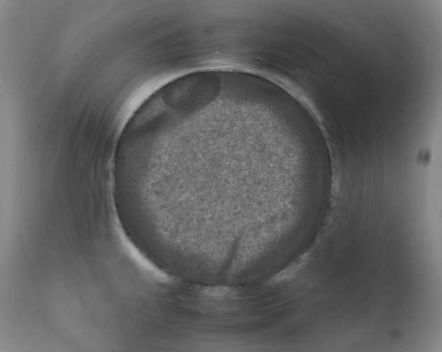 X0000112171239200909041143