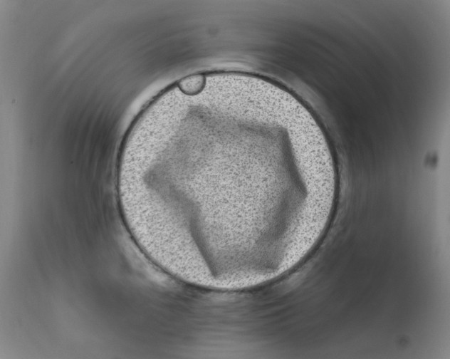 X0000112171240200909041143