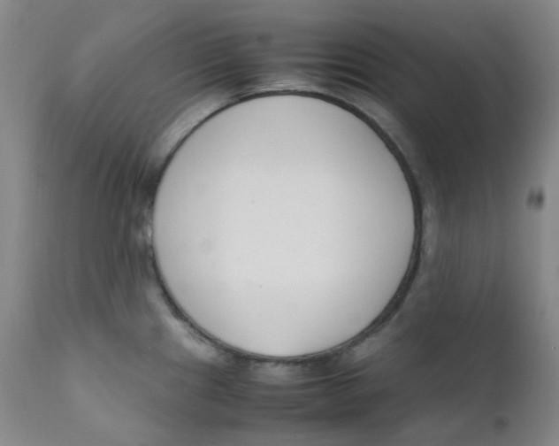 X0000112171241200909041143