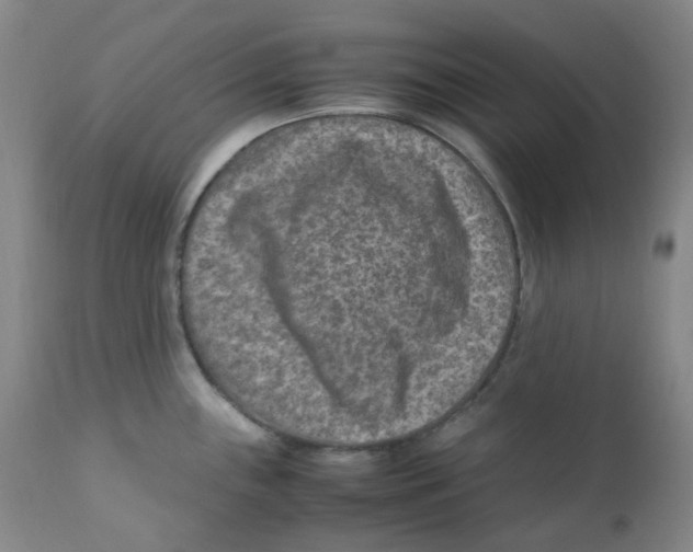 X0000112171243200909041143