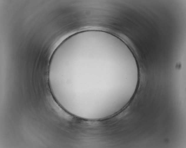 X0000112171244200909041143