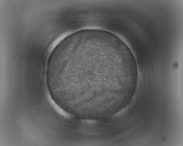 X0000112171245200909041143