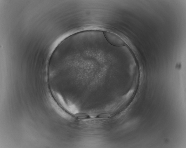 X0000112171246200909041143