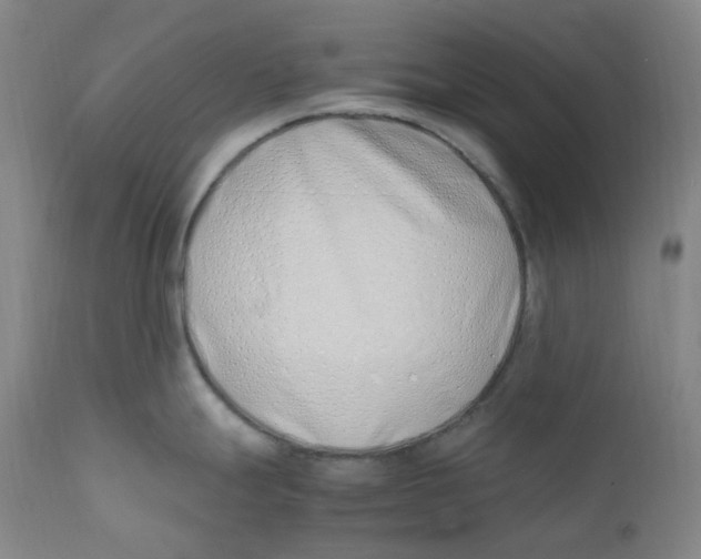 X0000112171247200909041143