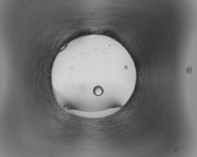 X0000112171249200909041142