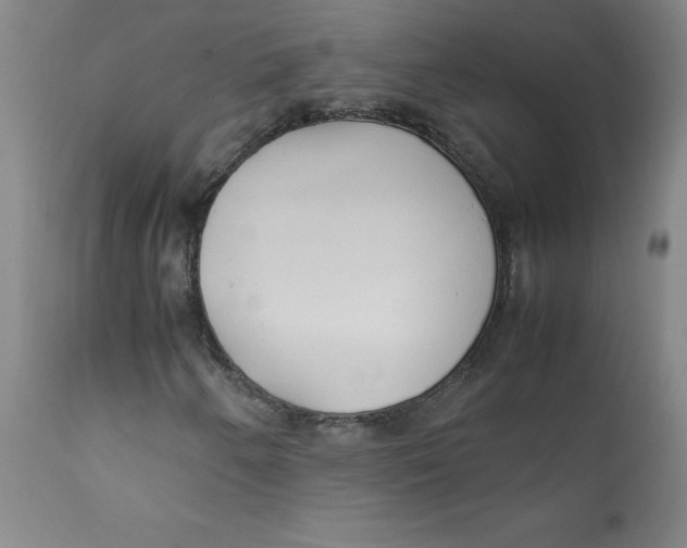 X0000112171250200909041142