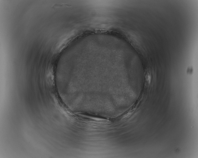 X0000112171252200909041142