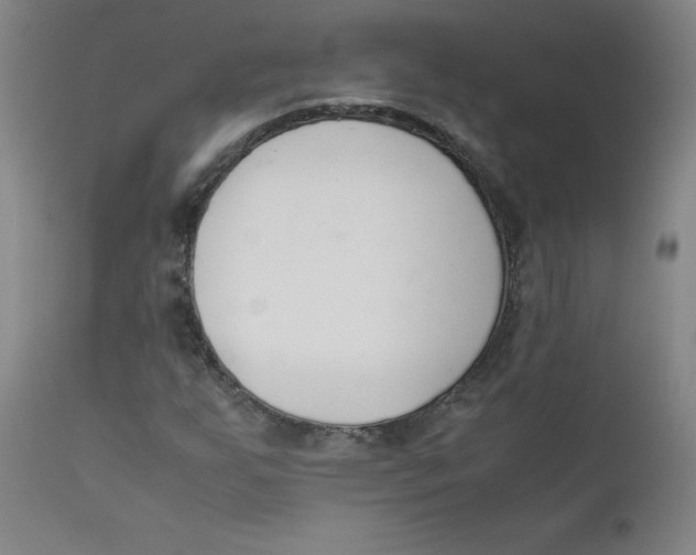 X0000112171255200909041142