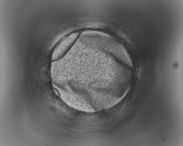 X0000112171256200909041142