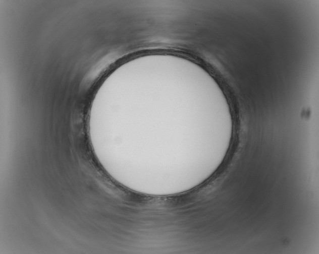 X0000112171259200909041142