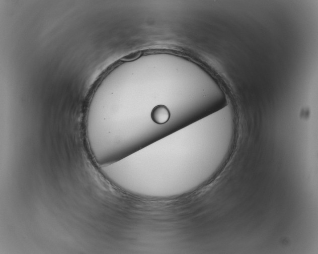 X0000112171260200909041142