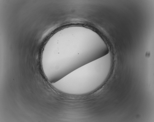 X0000112171261200909041142