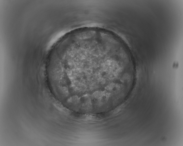 X0000112171263200909041142