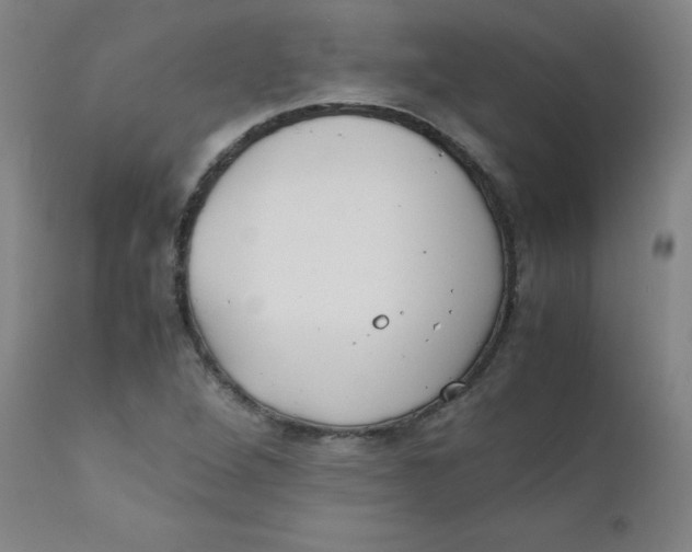 X0000112171264200909041142