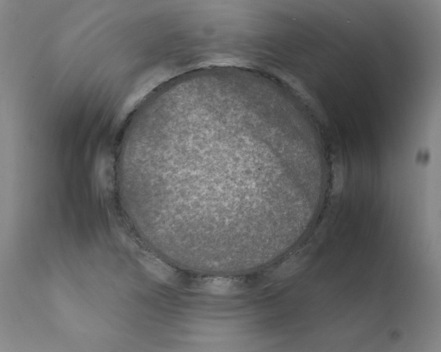 X0000112171266200909041142