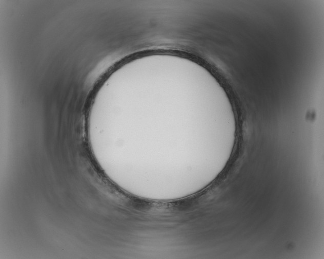 X0000112171267200909041142