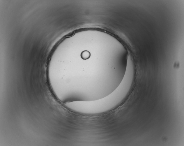 X0000112171268200909041142