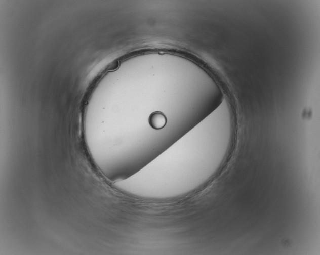 X0000112171269200909041142