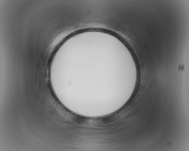 X0000112171271200909041142