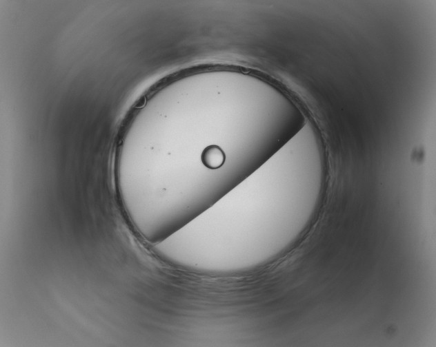 X0000112171272200909041142