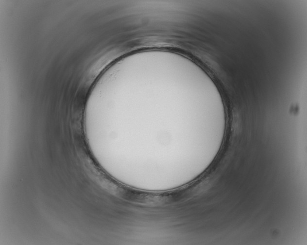 X0000112171273200909041142