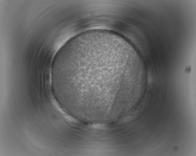 X0000112171274200909041142