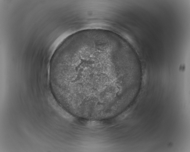 X0000112171275200909041142