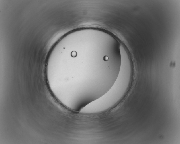 X0000112171277200909041142