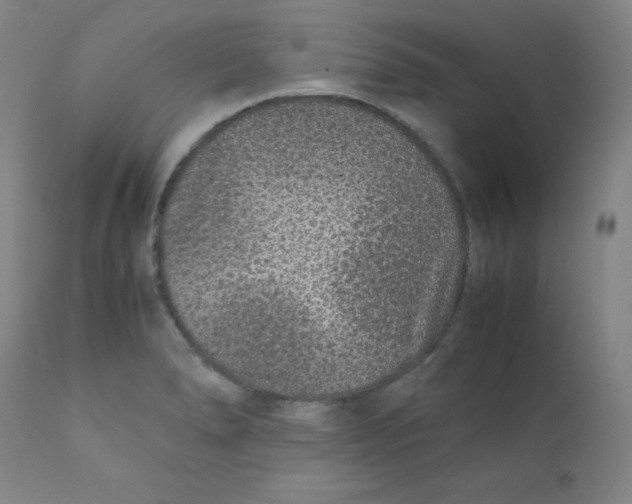 X0000112171278200909041142